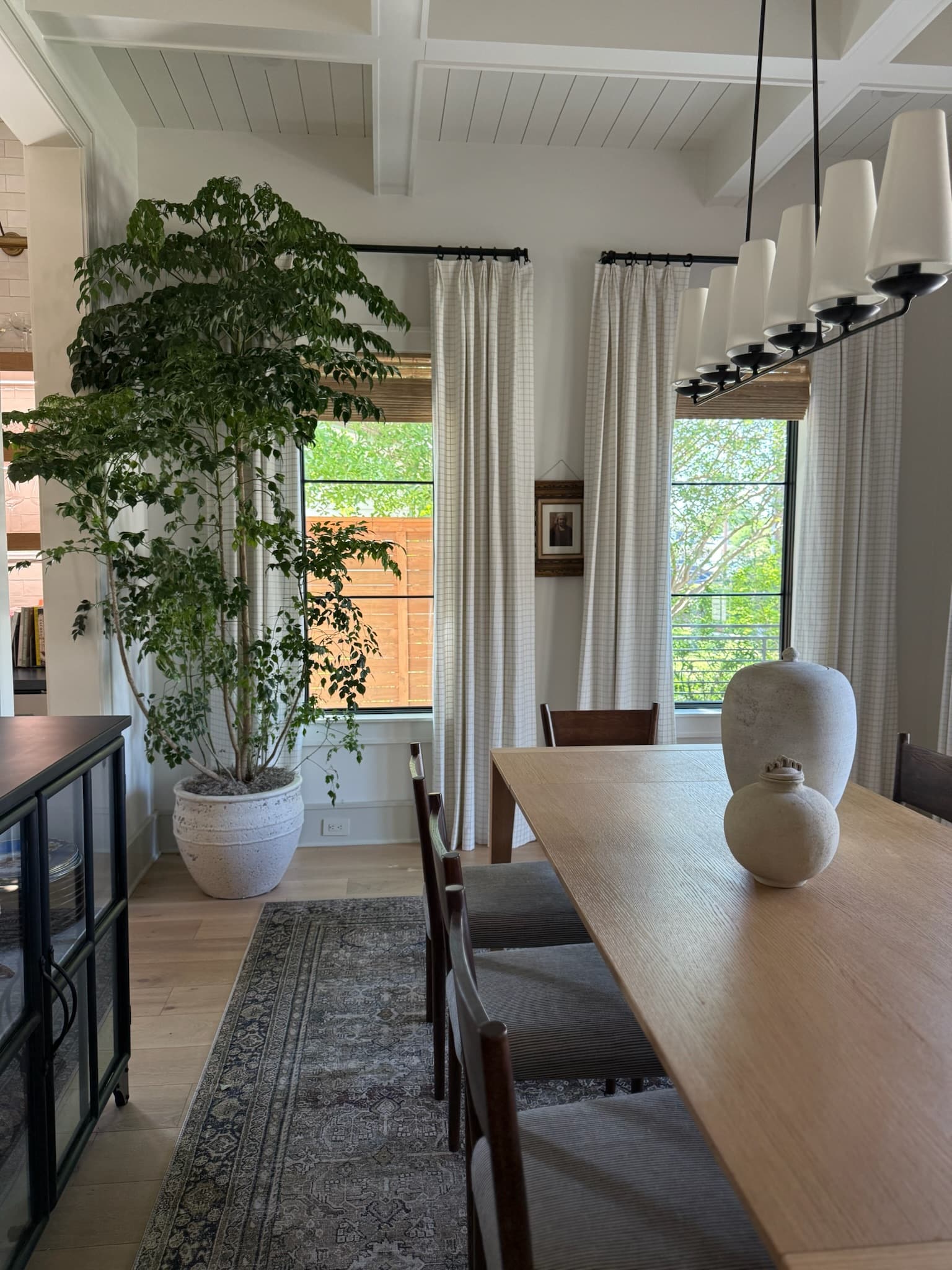 A Houston dining room with a tall ficus beside black-framed windows and afternoon light falling across an oak table.